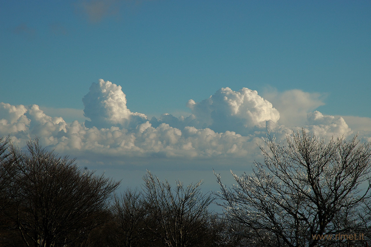 Cumulus congestus